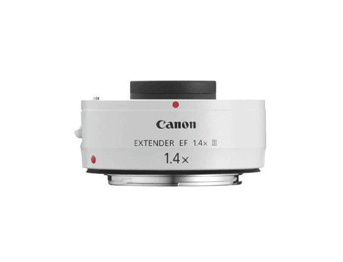 Canon TS-E24mm F3.5L II-2