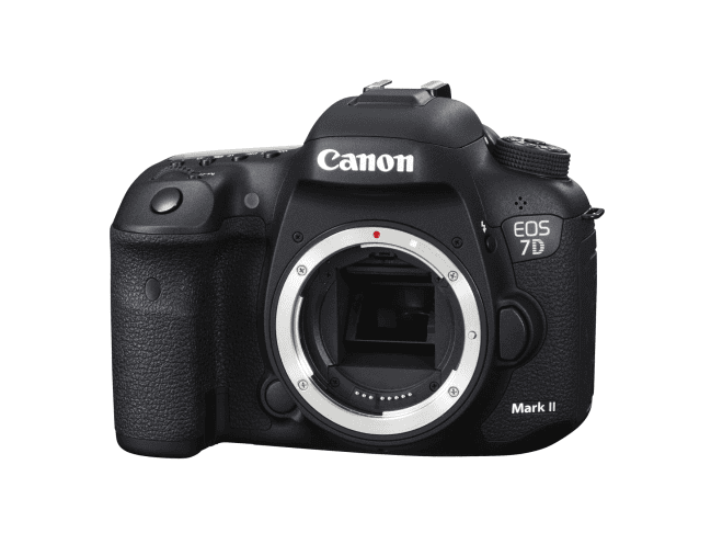 Canon　EOS7D　MarkⅡ-1