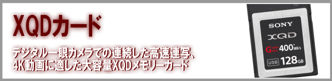 レンタル－XQDカード