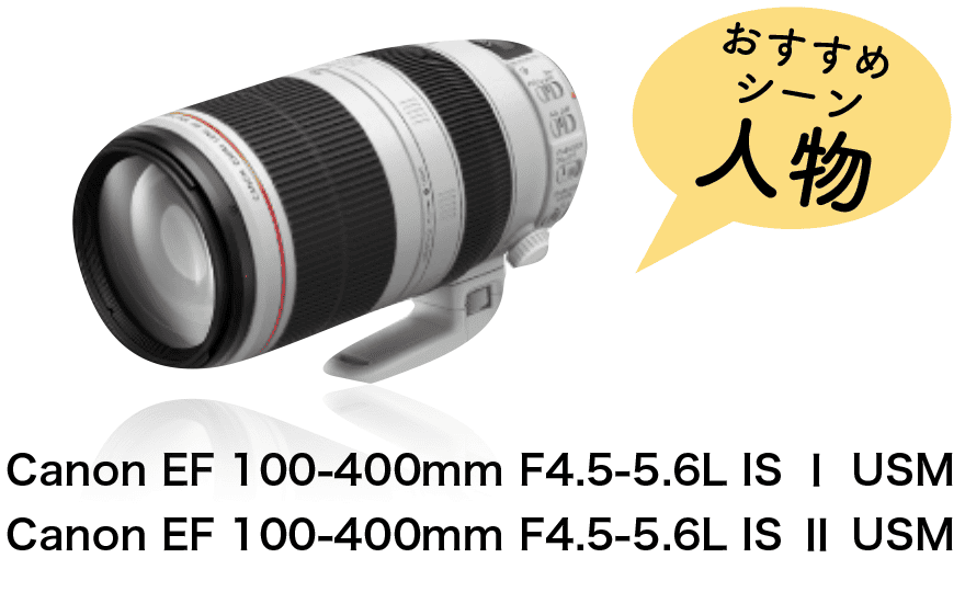 【Canon EF 100‐400㎜ F4.5-5.6L IS Ⅱ USM】のページへ