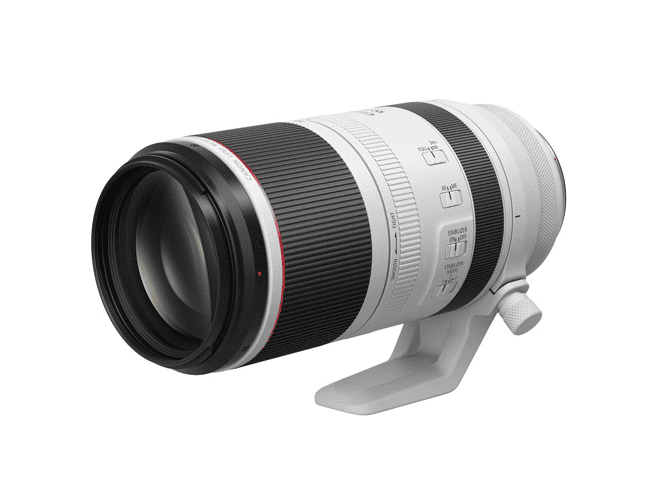 Canon RF100-500mm F4.5-7.1 L IS USM-1