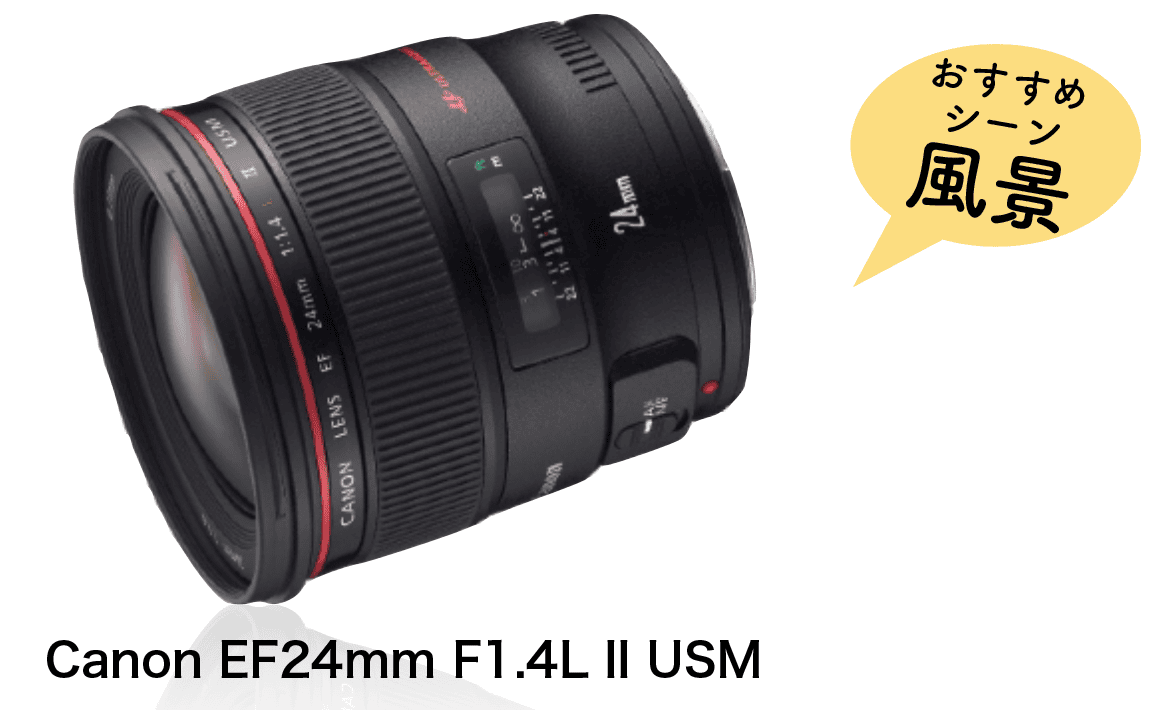 【Canon EF 24㎜ F1.4L II USM】のページへ